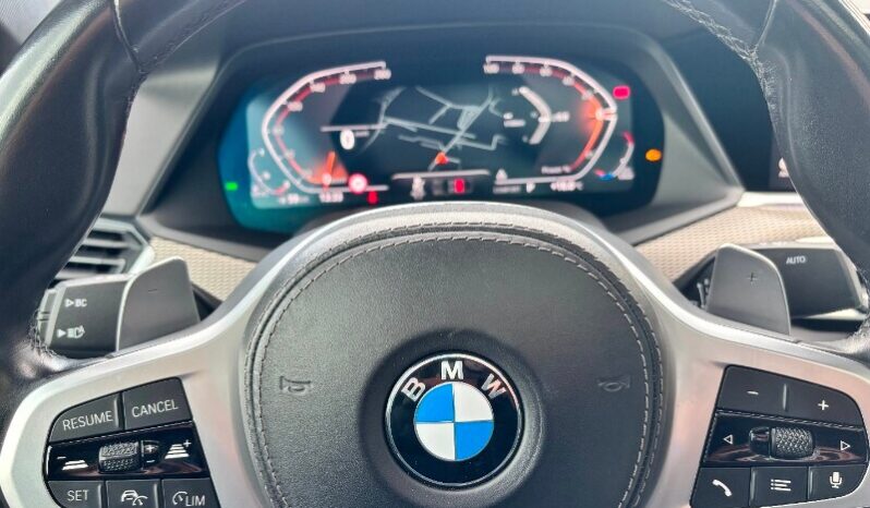 BMW X6        (G06/F96) X6 xDrive30d 48V Msport pieno