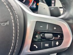 BMW X6        (G06/F96) X6 xDrive30d 48V Msport pieno