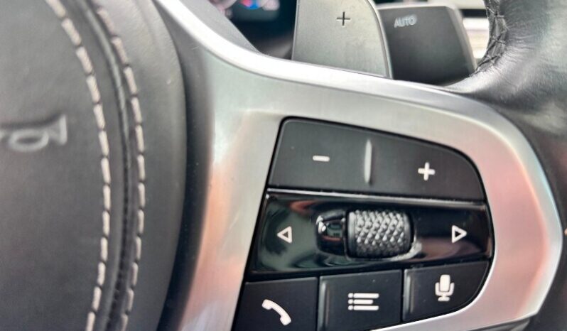 BMW X6        (G06/F96) X6 xDrive30d 48V Msport pieno