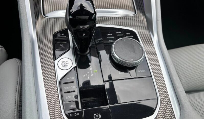 BMW X6        (G06/F96) X6 xDrive30d 48V Msport pieno