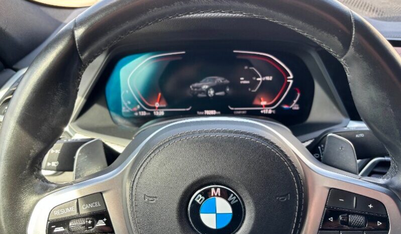 BMW X6        (G06/F96) X6 xDrive30d 48V Msport pieno