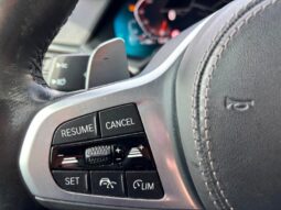 BMW X6        (G06/F96) X6 xDrive30d 48V Msport pieno