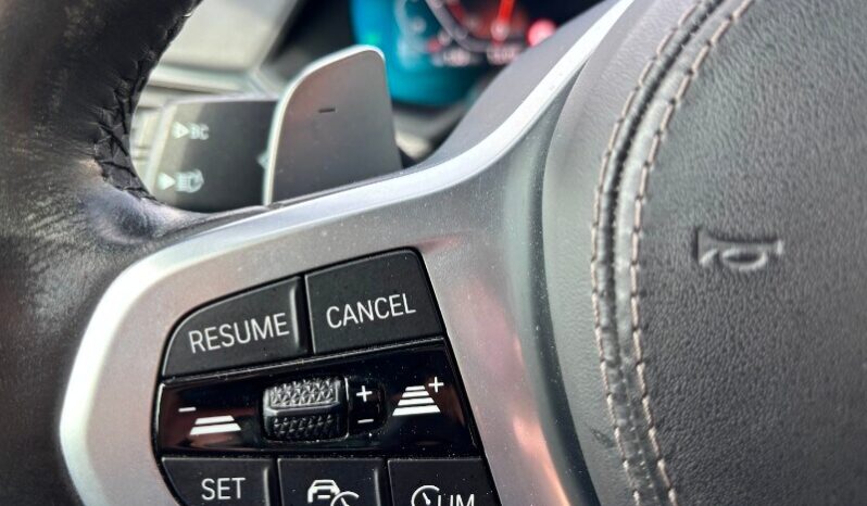 BMW X6        (G06/F96) X6 xDrive30d 48V Msport pieno