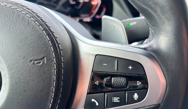 BMW X6        (G06/F96) X6 xDrive30d 48V Msport pieno