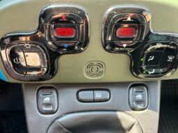 FIAT Panda 3ª serie Panda 1.3 MJT S&S 4×4 pieno